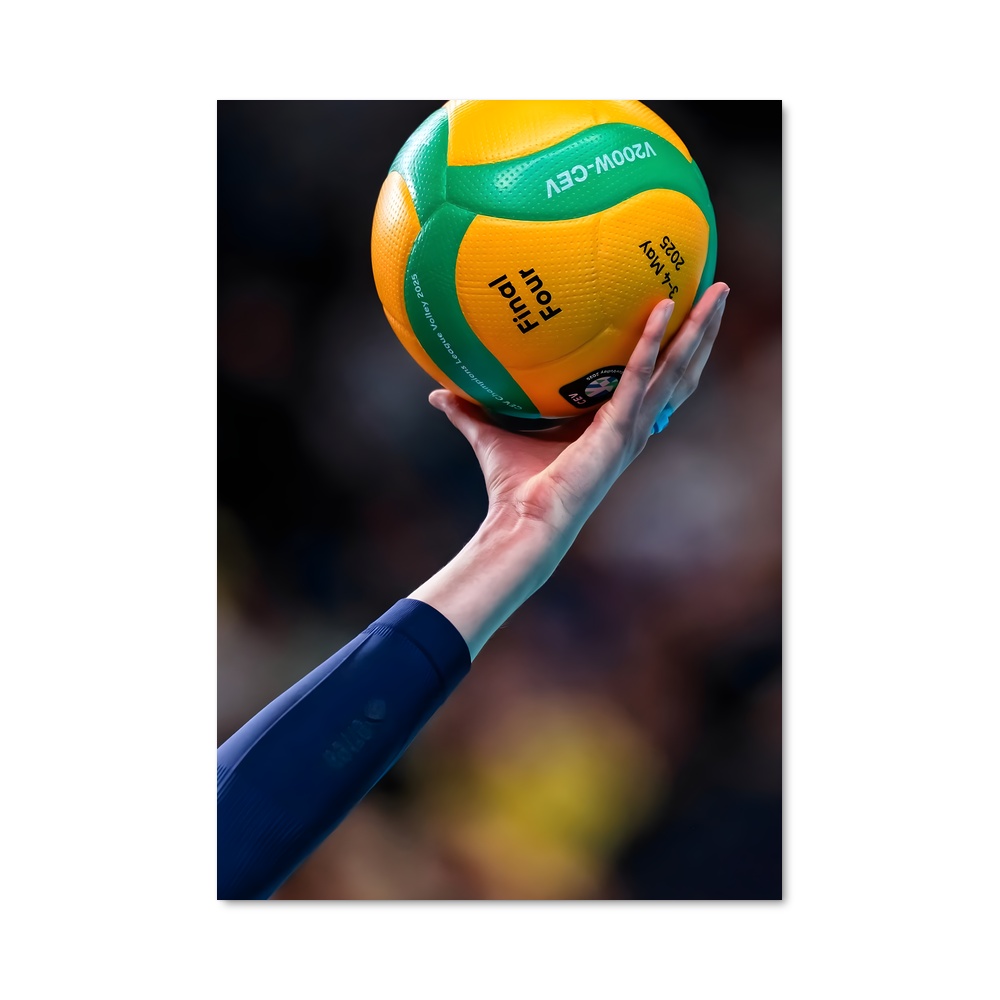 Poster Volley Passion